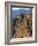 Calanche, Corsica, France-Doug Pearson-Framed Photographic Print