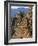 Calanche, Corsica, France-Doug Pearson-Framed Photographic Print