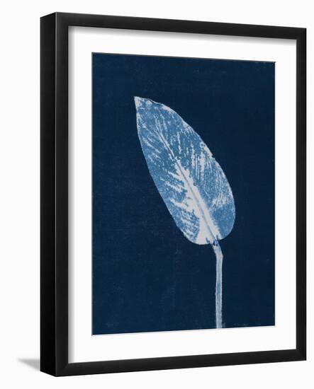 Calathea Blue-Pernille Folcarelli-Framed Art Print
