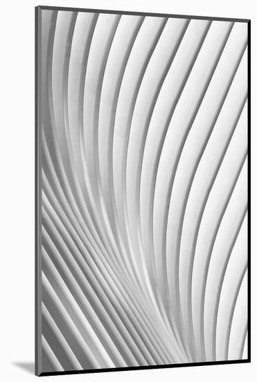 Calatrava Lines-Christopher Budny-Mounted Photographic Print