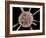 Calcareous Phytoplankton, SEM-Steve Gschmeissner-Framed Photographic Print