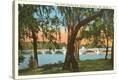 Stretched Canvas Print