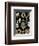 Calcispongiae-Ernst Haeckel-Framed Art Print