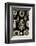 Calcispongiae-Ernst Haeckel-Framed Art Print