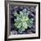 Calcium Phosphate Crystal, SEM-Steve Gschmeissner-Framed Premium Photographic Print