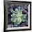 Calcium Phosphate Crystal, SEM-Steve Gschmeissner-Framed Photographic Print