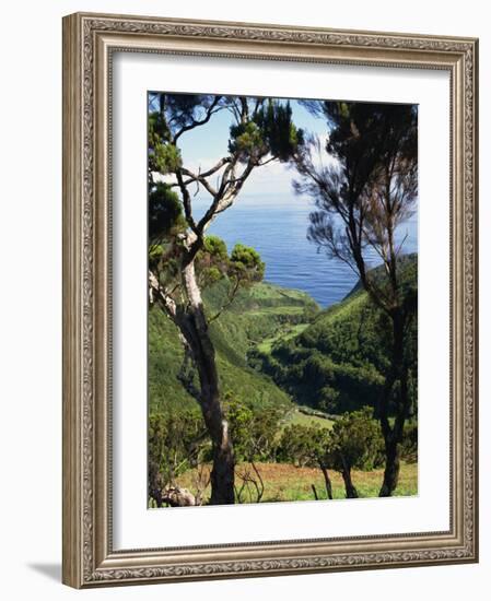 Caldeira De Cima, Sao Jorge, Azores, Portugal, Atlantic, Europe-Ken Gillham-Framed Photographic Print
