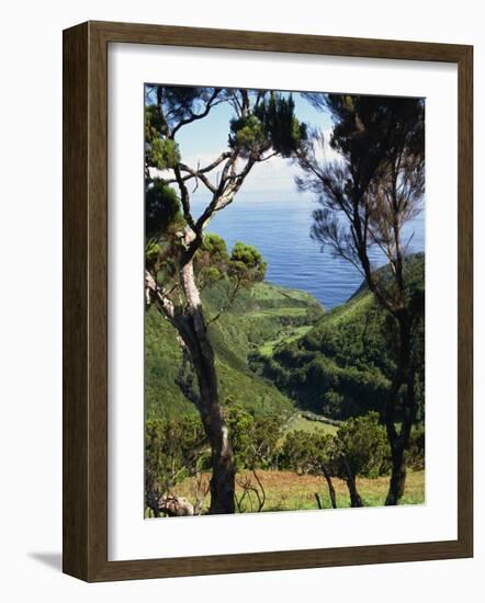 Caldeira De Cima, Sao Jorge, Azores, Portugal, Atlantic, Europe-Ken Gillham-Framed Photographic Print