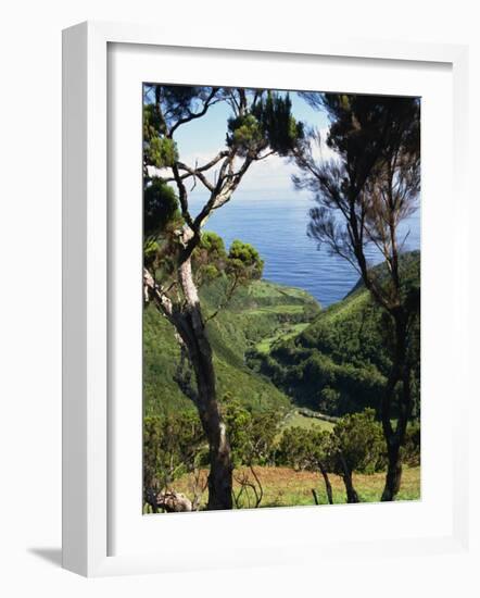 Caldeira De Cima, Sao Jorge, Azores, Portugal, Atlantic, Europe-Ken Gillham-Framed Photographic Print