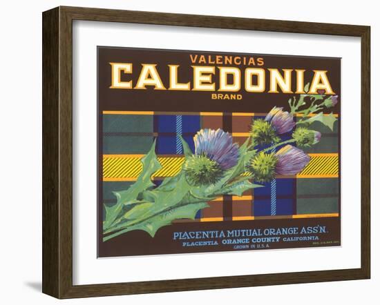 Calendonia Orange Crate Label-null-Framed Art Print