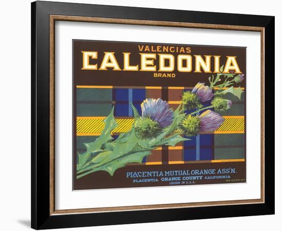 Calendonia Orange Crate Label-null-Framed Art Print