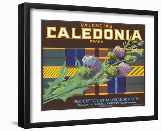 Calendonia Orange Crate Label-null-Framed Art Print