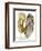 Calendula II-Melissa Wang-Framed Premium Giclee Print