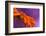 Calendula`s drop-Heidi Westum-Framed Photographic Print