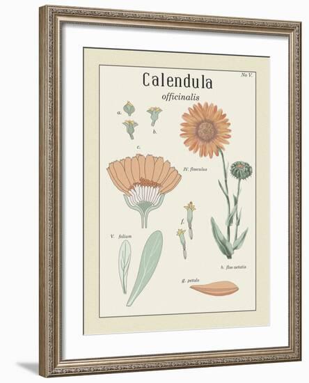 Calendula-Maria Mendez-Framed Giclee Print