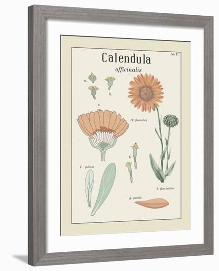 Calendula-Maria Mendez-Framed Giclee Print