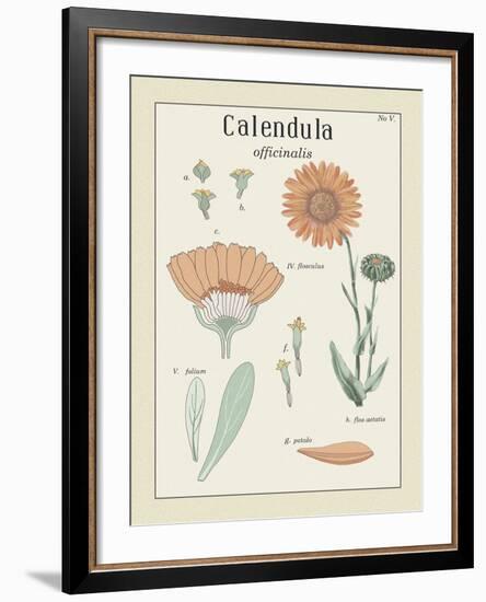 Calendula-Maria Mendez-Framed Giclee Print