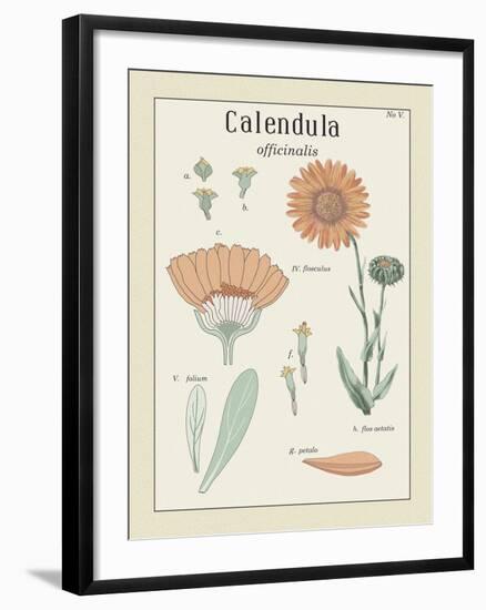 Calendula-Maria Mendez-Framed Giclee Print