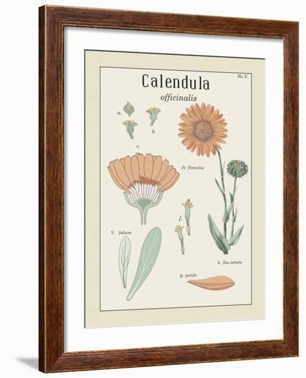 Calendula-Maria Mendez-Framed Giclee Print
