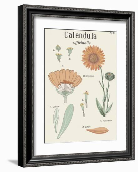 Calendula-Maria Mendez-Framed Art Print