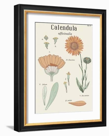 Calendula-Maria Mendez-Framed Art Print