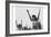 Calesthenics-Ansel Adams-Framed Art Print