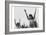 Calesthenics-Ansel Adams-Framed Art Print