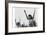 Calesthenics-Ansel Adams-Framed Art Print