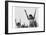 Calesthenics-Ansel Adams-Framed Art Print