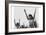 Calesthenics-Ansel Adams-Framed Art Print