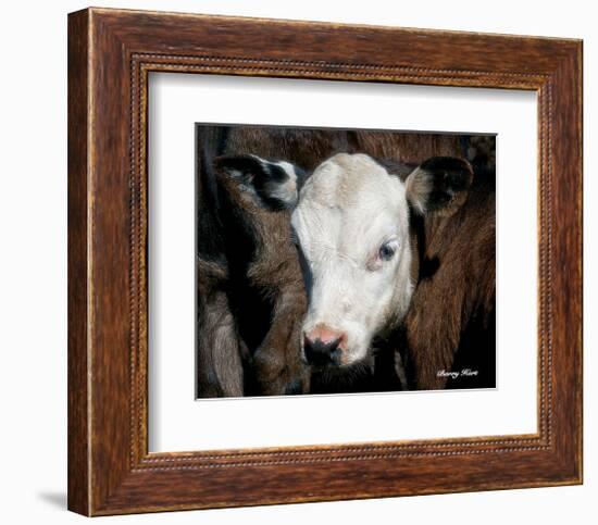 Calf #4-Barry Hart-Framed Giclee Print