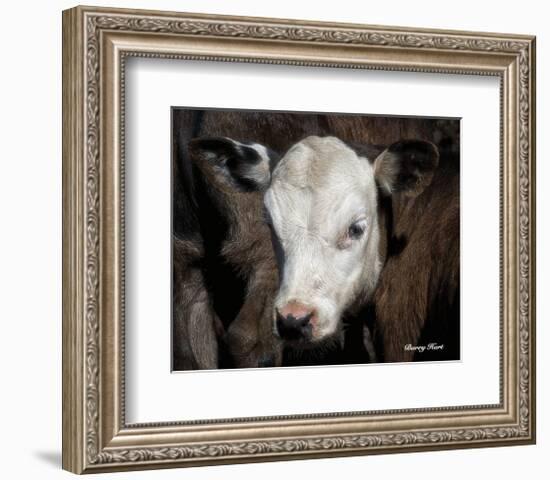 Calf #4-Barry Hart-Framed Art Print