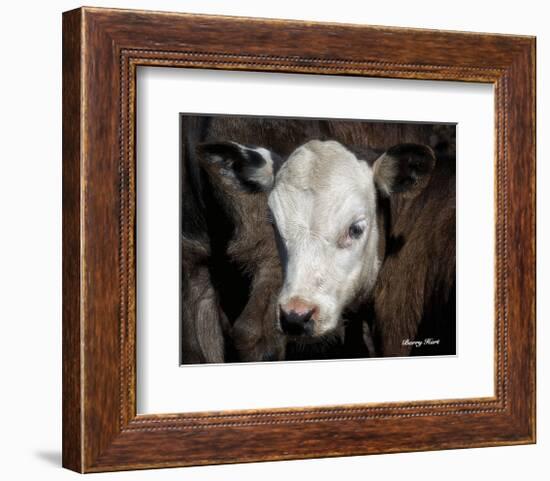 Calf #4-Barry Hart-Framed Art Print