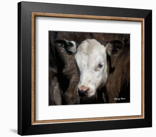 Calf #4-Barry Hart-Framed Art Print