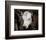 Calf #4-Barry Hart-Framed Art Print