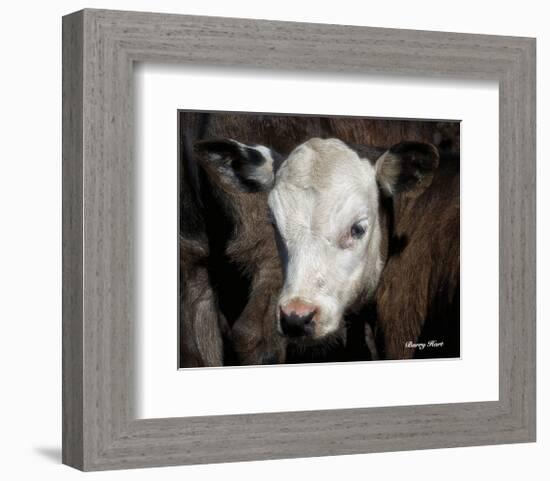 Calf #4-Barry Hart-Framed Art Print