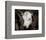 Calf #4-Barry Hart-Framed Art Print