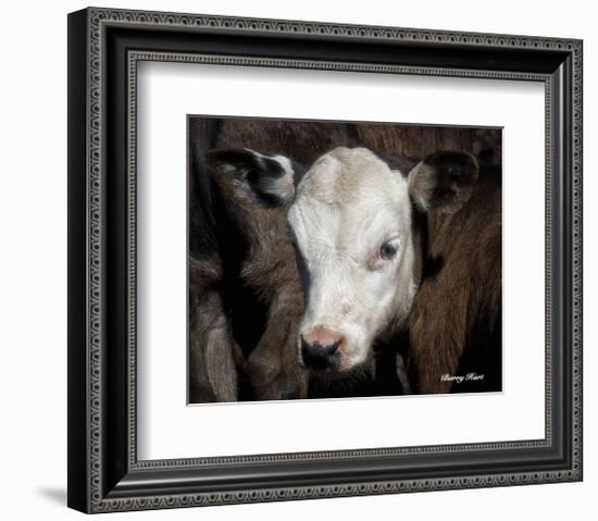 Calf #4-Barry Hart-Framed Art Print