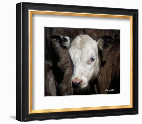 Calf #4-Barry Hart-Framed Art Print