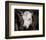 Calf #4-Barry Hart-Framed Art Print