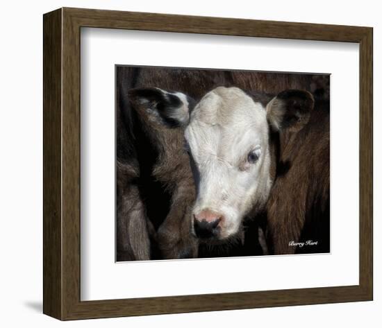 Calf #4-Barry Hart-Framed Art Print