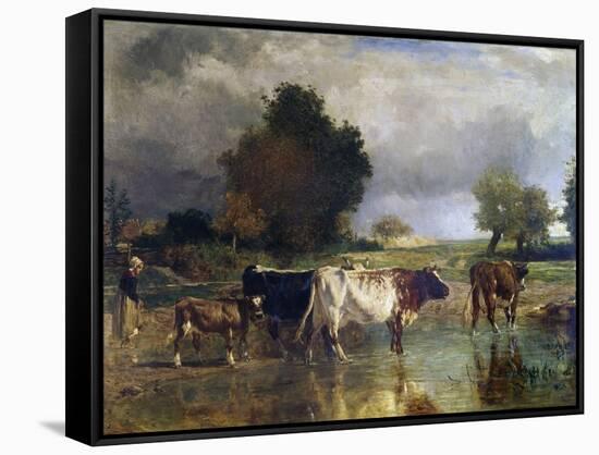 Stretched Canvas Print, , large