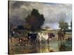 Stretched Canvas Print