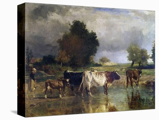 Stretched Canvas Print, , large