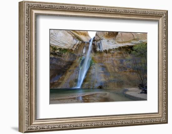 Calf Creek Falls in Grand Staircase Escalante Nm, Utah-Richard Wright-Framed Photographic Print