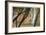 Calf Creek Falls-Donald Paulson-Framed Giclee Print