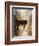 Calf in the Sunday Sun-Jai Johnson-Framed Giclee Print