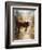 Calf in the Sunday Sun-Jai Johnson-Framed Giclee Print