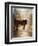 Calf in the Sunday Sun-Jai Johnson-Framed Giclee Print