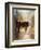 Calf in the Sunday Sun-Jai Johnson-Framed Giclee Print